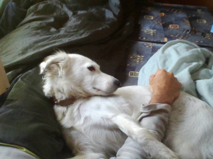 Caramelle1 - Femelle (8 ans)