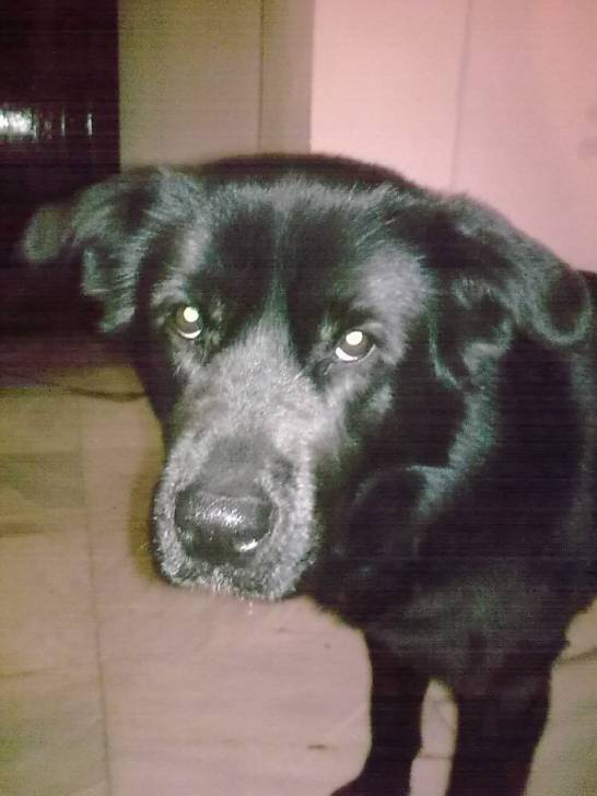 chika - (5 ans)