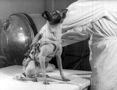 Siempre te recordaremos,Laika - (4 ans)