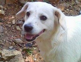 Chiky - (4 ans)