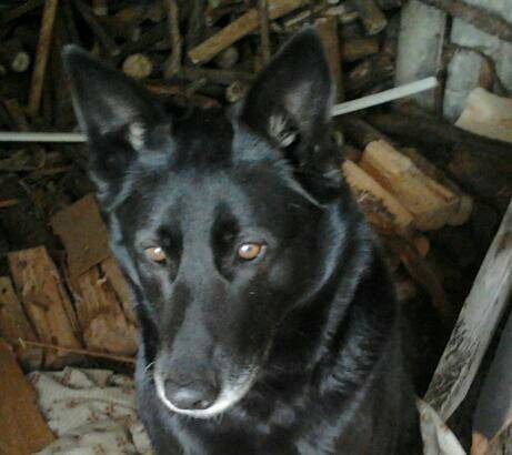 nica - (8 ans)