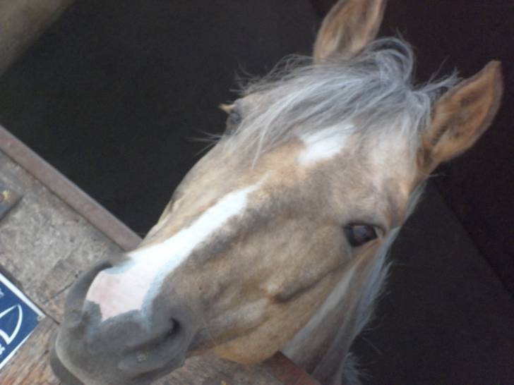 Quelle - (14 ans)