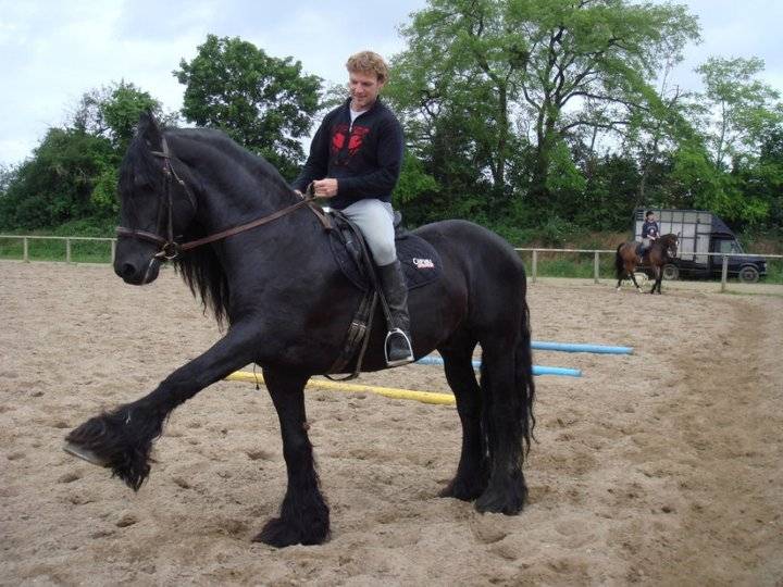 Diablo (mec) - Mâle (12 ans)