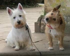 Fraya and Akira -