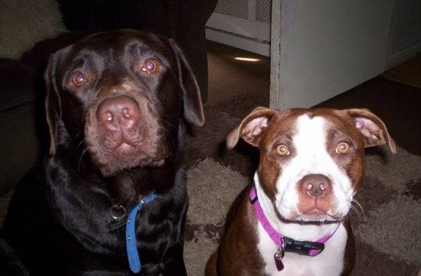 Paddy and keyda -