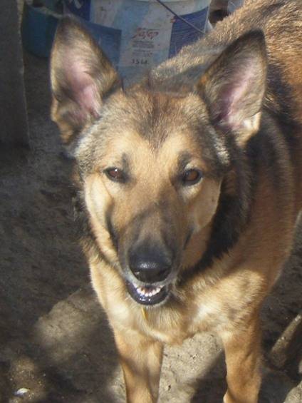Bula - (5 ans)