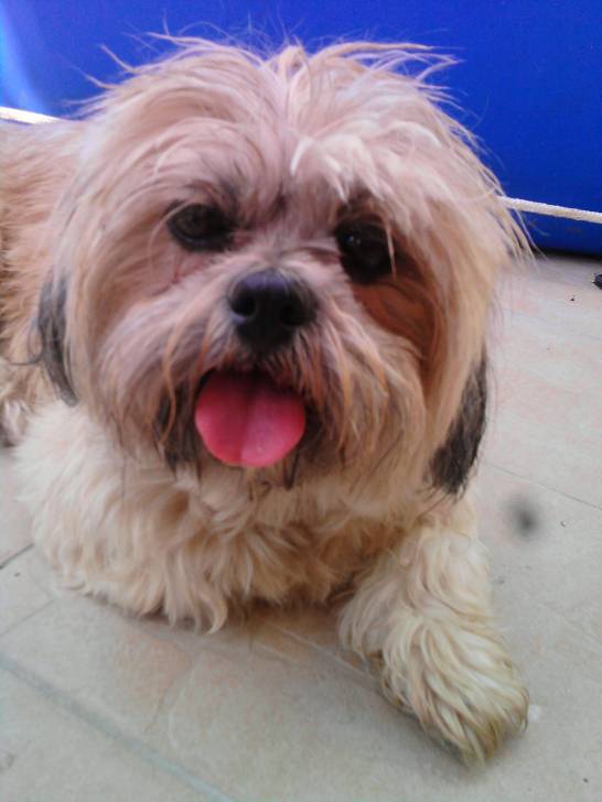 Winky - (4 ans)