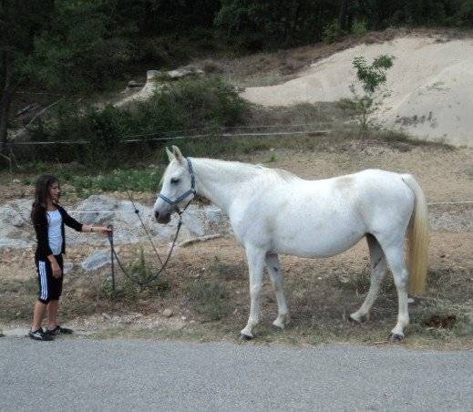 Lolita - (11 ans)