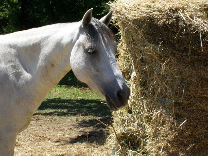 Player - Mâle (8 ans)