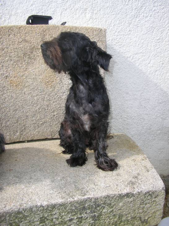 Tessy - (5 ans)