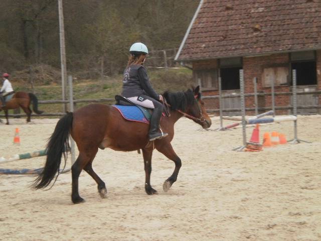 Anakin et Moi - Mâle (9 ans)