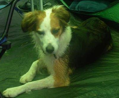 Lucy - (8 ans)