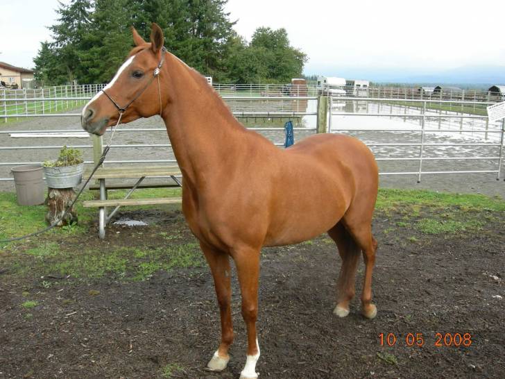 Isabella - (12 ans)