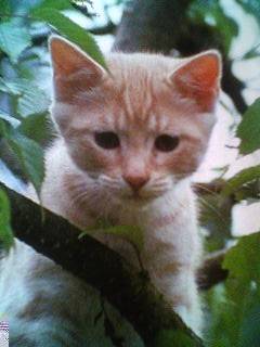 Vanille - (5 mois)