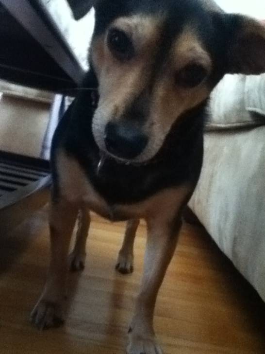 Coco - (4 ans)