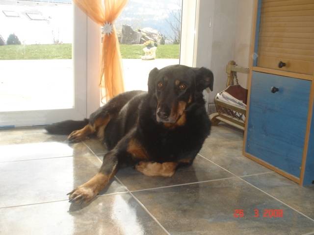 joy - (14 ans)