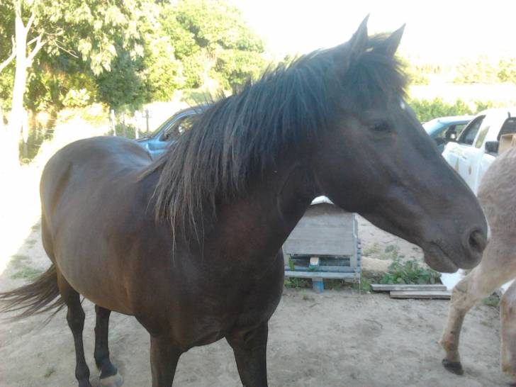 pounette - (15 ans)