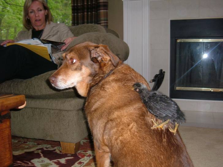 Sparkle - (8 ans)