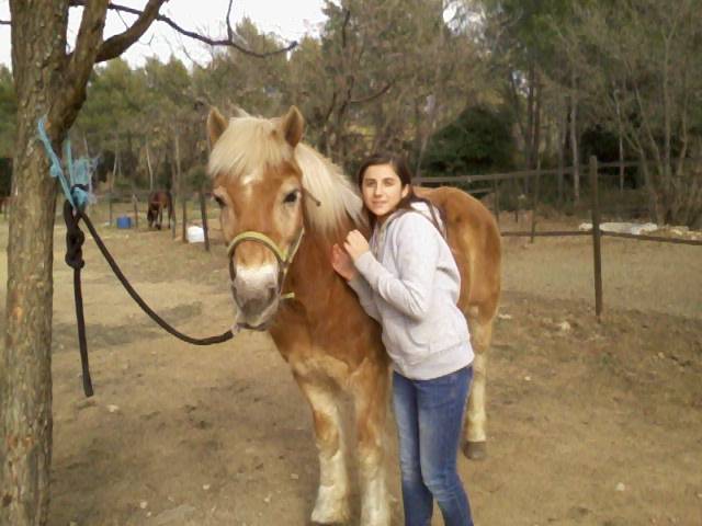 Casimir - Mâle (4 ans)