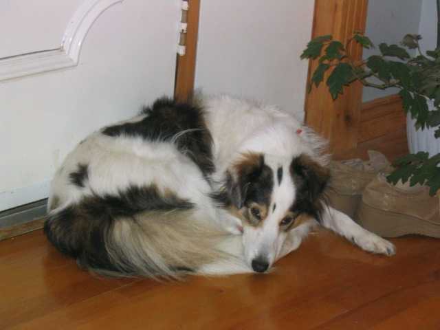 Pourquoi ils me regarde comme cela? -