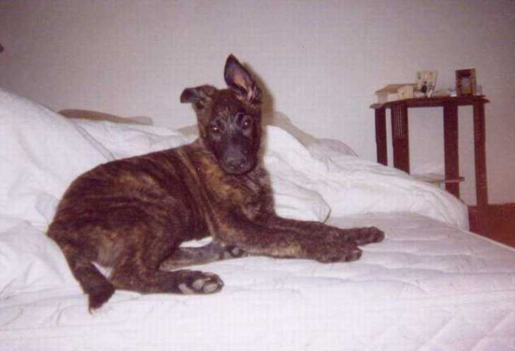 Stan du Domaine des Diables Noirs -