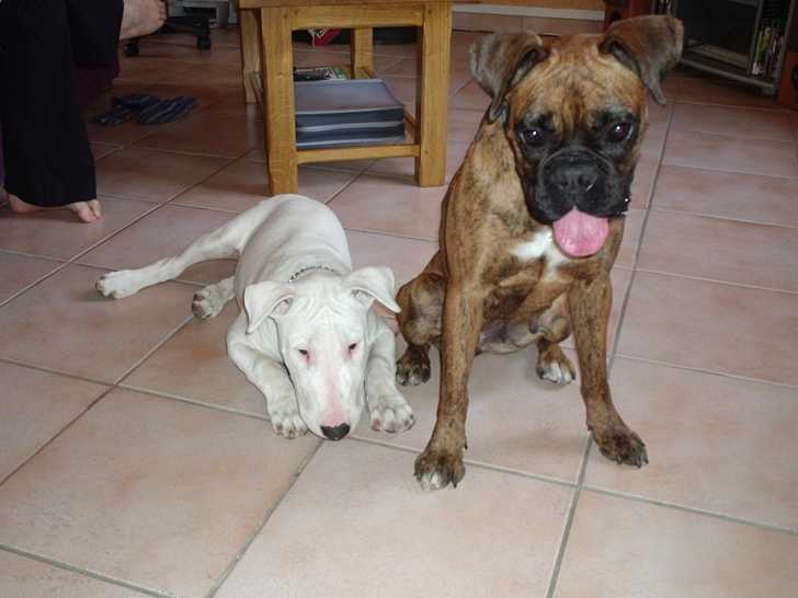 Encore moi et ma meilleur copine -