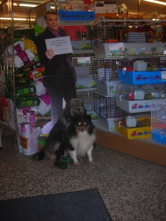 bandy et daxon - Mâle