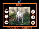 Neo