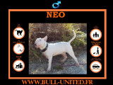 Neo