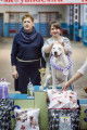 Services Handler. Préparation et présentateur des chiens pour les expositions canine.