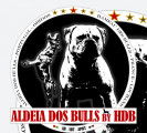 Chiots Bulldogs Américains disponibles