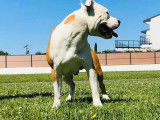 narco prend la pose
