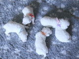 Ravissants chiots mâles Bichons Frisés LOF, couleur blanche, à réserver pour le 27 novembre 2021