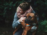 Mâle adulte de type Boxer 8 ans robe bicolore à adopter