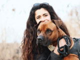 Mâle adulte de type Boxer 8 ans robe bicolore à adopter
