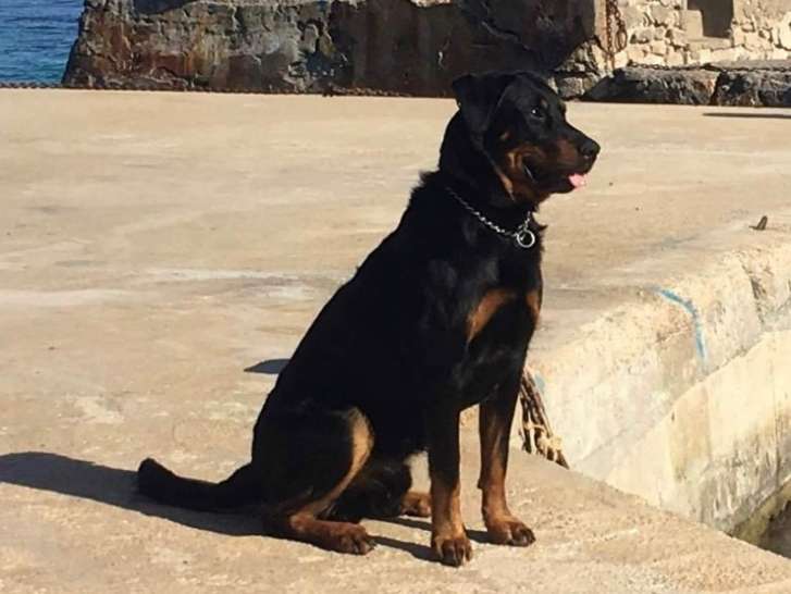 annonce rencontre olx