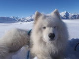 Max en rando à 2292m