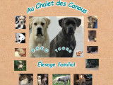 Au Chalet des Canous