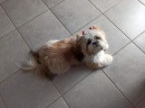 Samy maintenant !