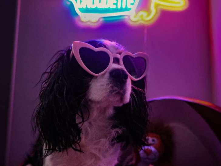 Moi en soirée