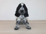 Chiots Cocker Anglais LOF à vendre