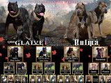 5 chiots mâles bleus American Bullies non-LOF à vendre