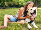 Recherche femelle pour saillie avec