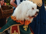 Moi a la fete de la Renaissance de Lyon oû j ai ete la STAR !!!@