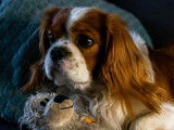 Moi avec doudou