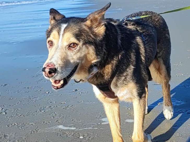 Baggy à adopter