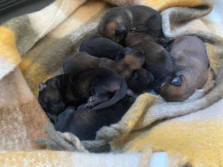 La petite tribu au complet