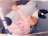Femelle chihuahua lof poils longs