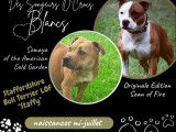 7 chiots Staffordshire Bull Terriers LOF, &agrave; r&eacute;server