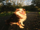 Helios en ballade :)